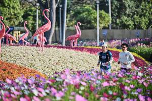 BIB: 
                            <button type="button" onclick="openModal(27798825)" class="btn btn-primary btn-sm float-right btn-popup" data-toggle="modal" data-target=".modal-high-quality">
                        <i class="fas fa-shopping-cart"></i> Add to Cart
                    </button>
                                            <button type="button" onclick="isThisMe(27798825, true)" class="btn btn-success btn-sm float-right btn-popup btn-isme hidden" data-toggle="tooltip" data-placement="bottom" title="นี่คือรูปของคุณใช่ไหม คลิกที่นี่เพื่อเอาเข้าอัลบั้ม">
                        <i class="fas fa-plus"></i> Add to album
                    </button>
                    <button type="button" onclick="isThisMe(27798825, false)" class="btn btn-warning btn-sm float-right btn-popup btn-isnotme hidden">
                        <i class="fas fa-ban"></i> Remove from album
                    </button>